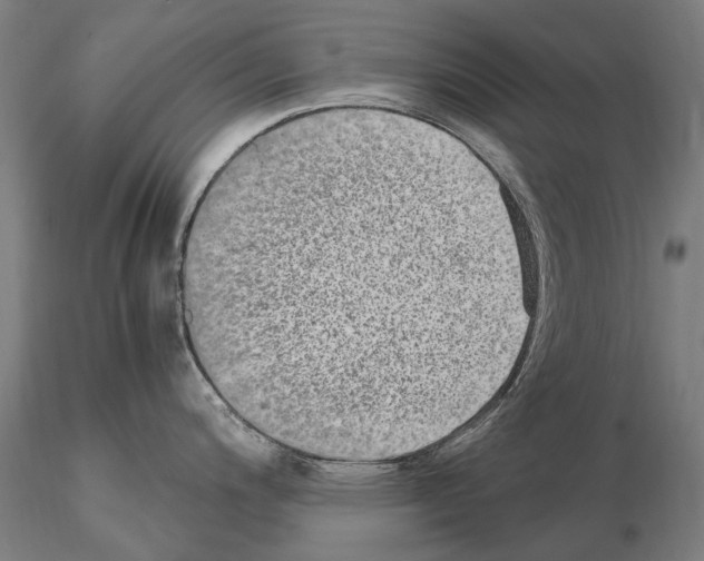 X0000114661200200912011127