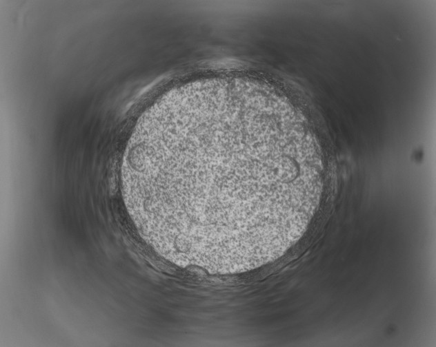 X0000114661205200912011127