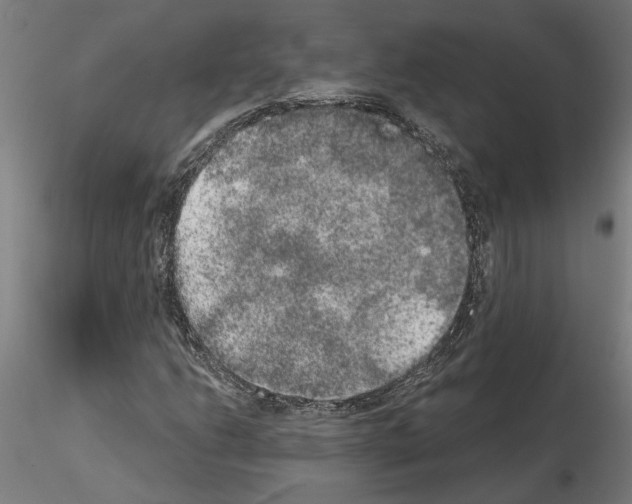 X0000114661206200912011127