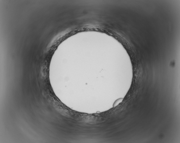 X0000114661207200912011127