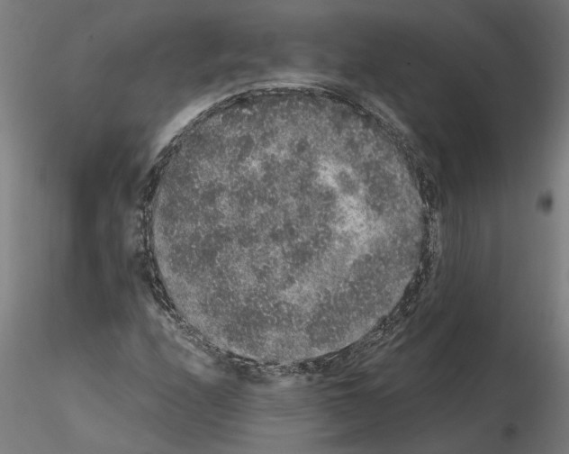 X0000114661208200912011127