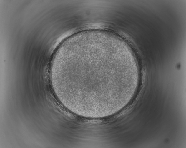 X0000114661210200912011127