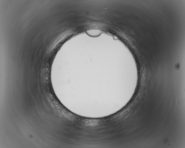 X0000114661211200912011127