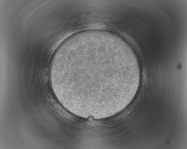 X0000114661212200912011127