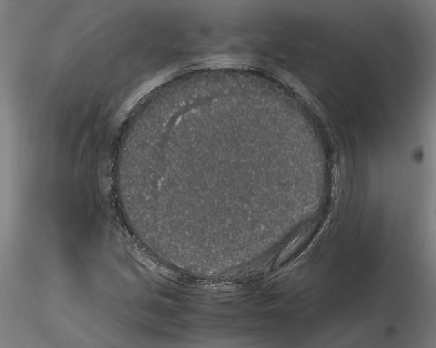 X0000114661213200912011127