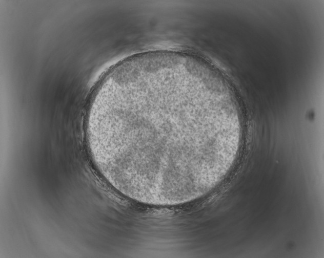 X0000114661214200912011127