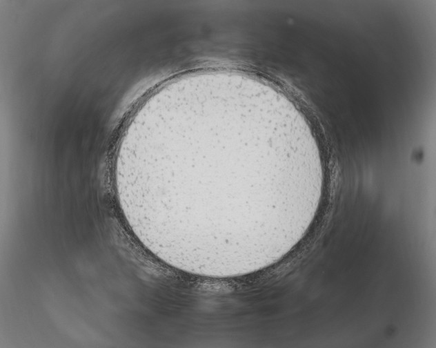 X0000114661215200912011127