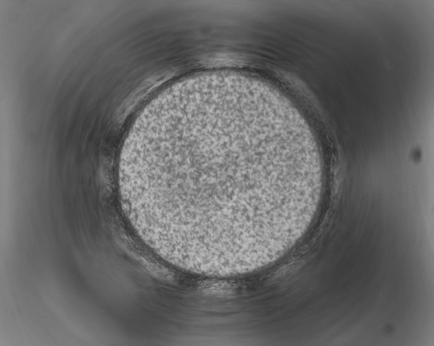 X0000114661217200912011127