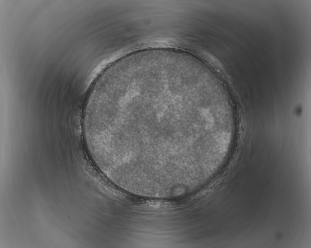 X0000114661218200912011127