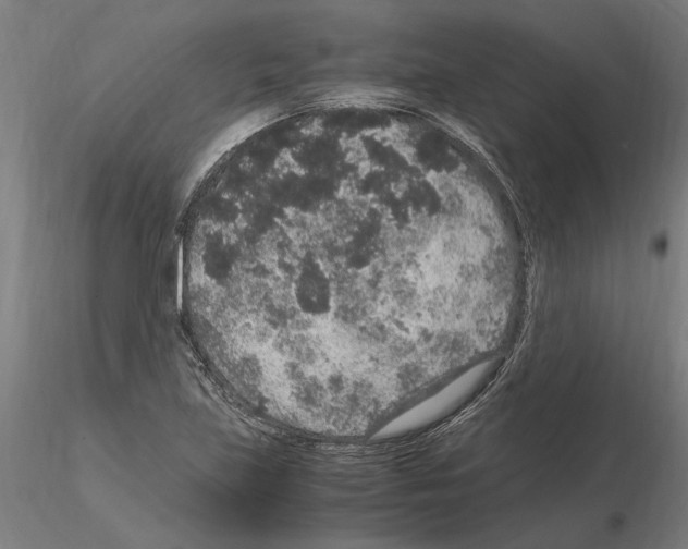 X0000114661219200912011127