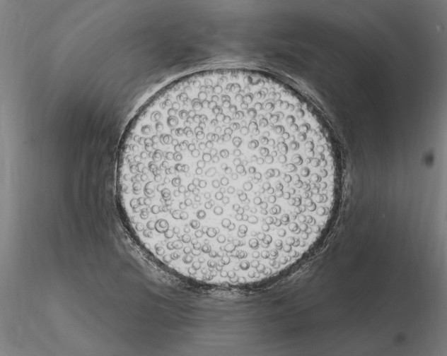 X0000114661220200912011127