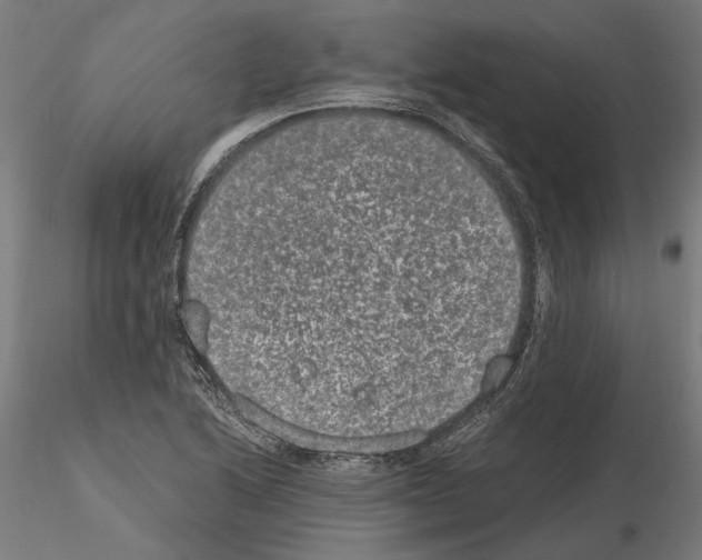 X0000114661222200912011127