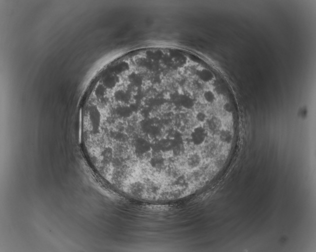 X0000114661223200912011127