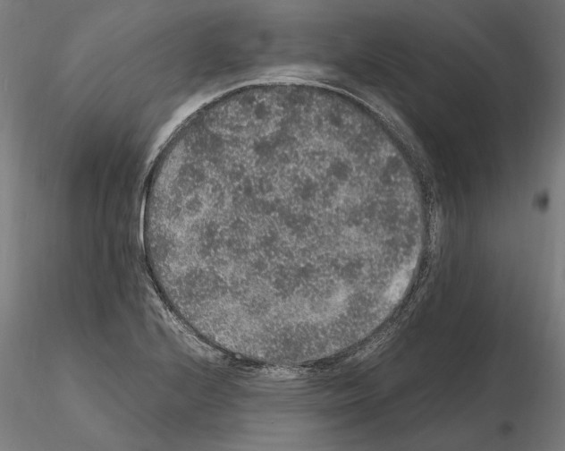 X0000114661224200912011127