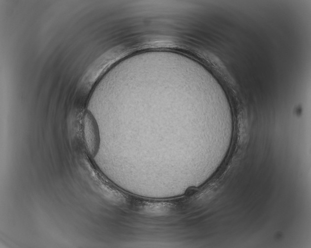 X0000114661225200912011127