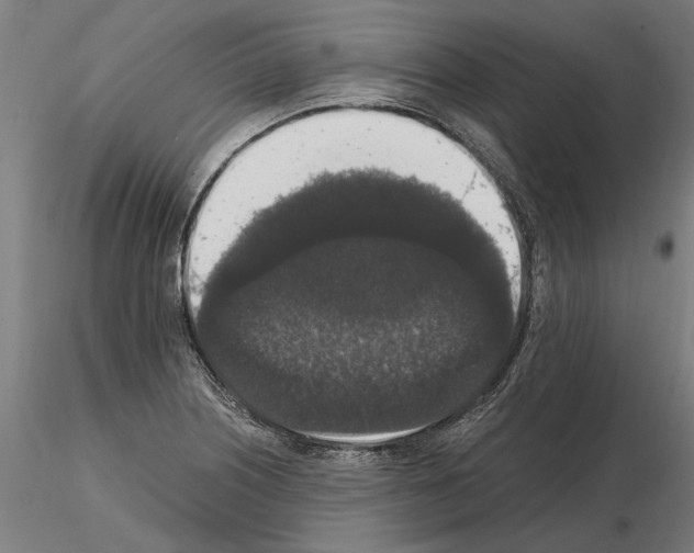 X0000114661226200912011127