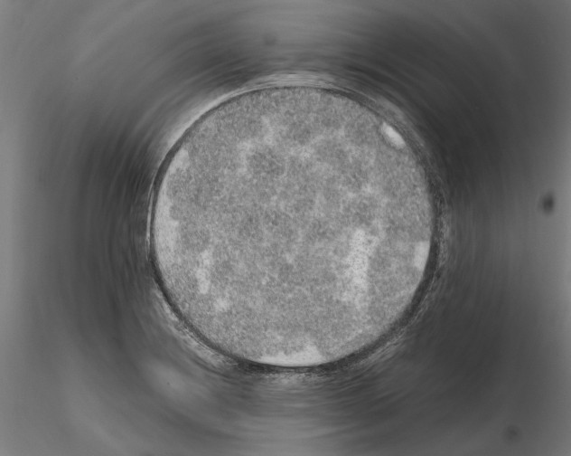 X0000114661228200912011127