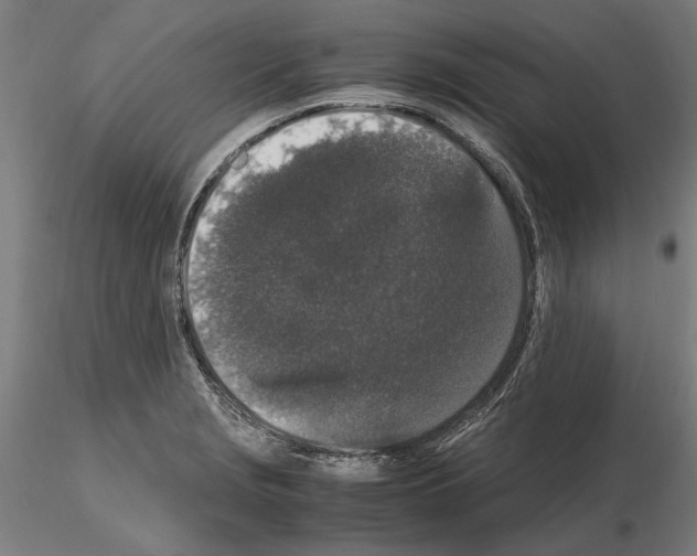 X0000114661229200912011127