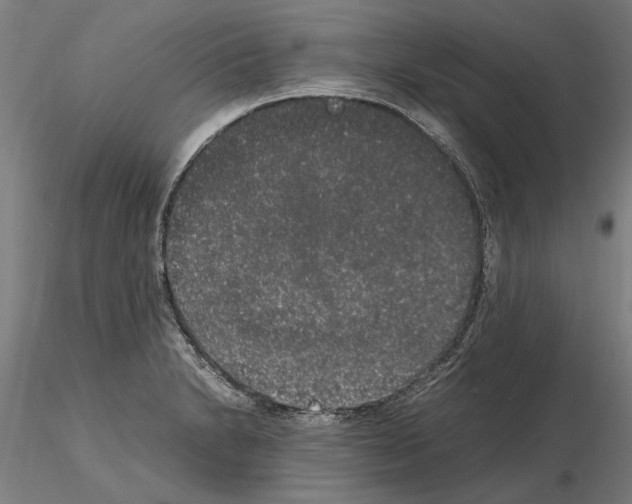 X0000114661230200912011127