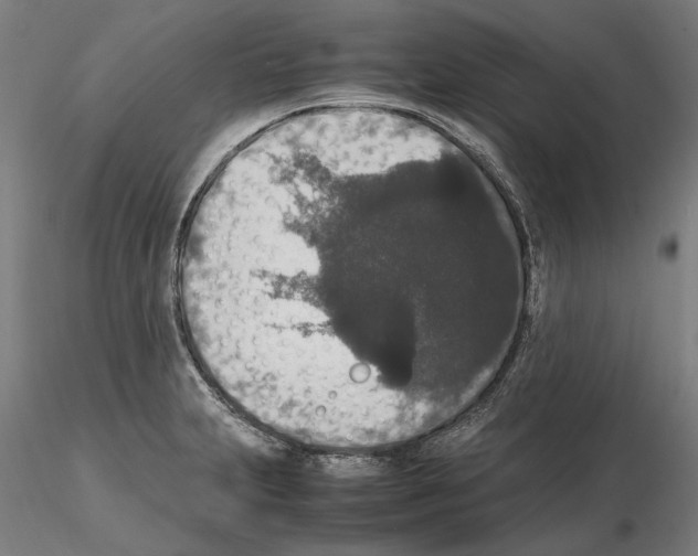 X0000114661231200912011127