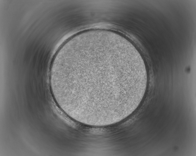 X0000114661232200912011127