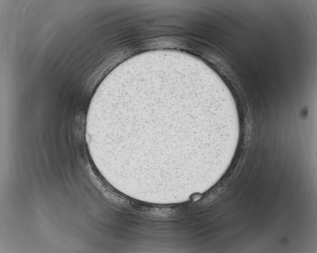 X0000114661233200912011127