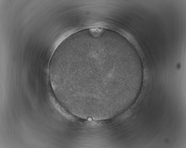 X0000114661234200912011127