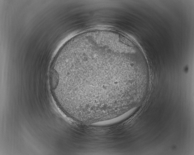 X0000114661235200912011127