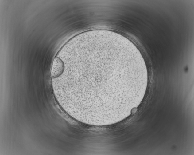 X0000114661236200912011127