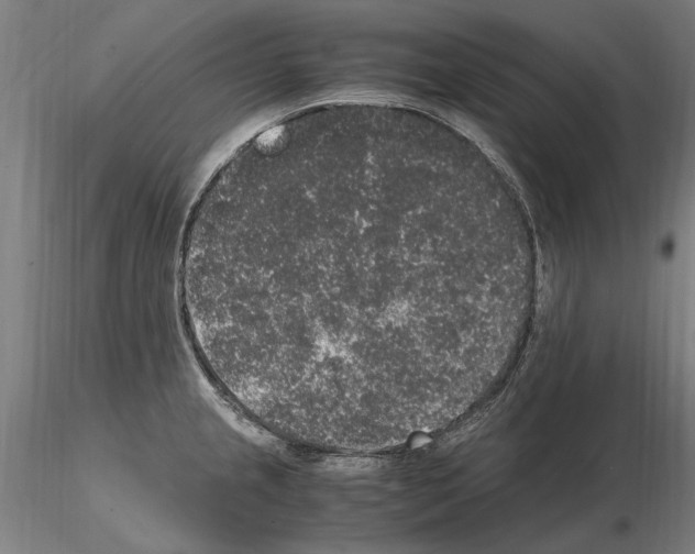 X0000114661237200912011127