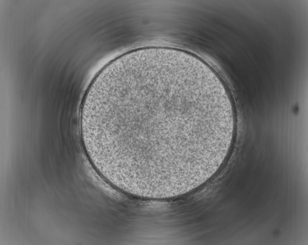 X0000114661238200912011127