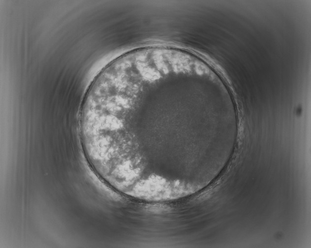 X0000114661239200912011127