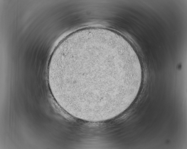 X0000114661240200912011127