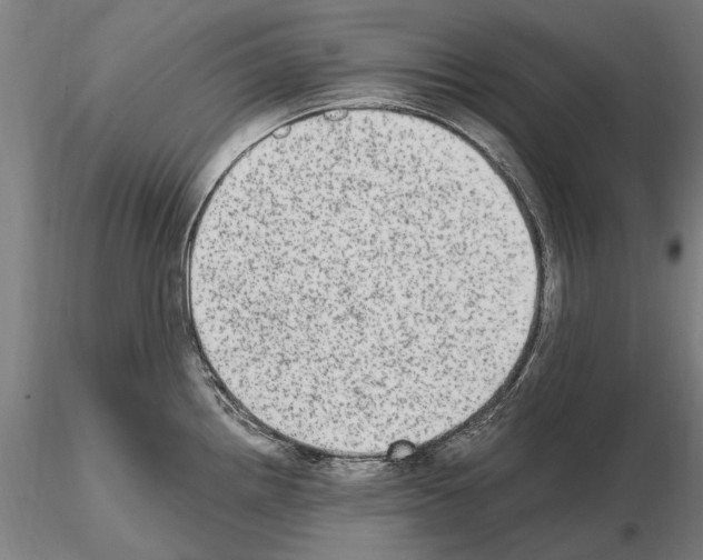 X0000114661242200912011127