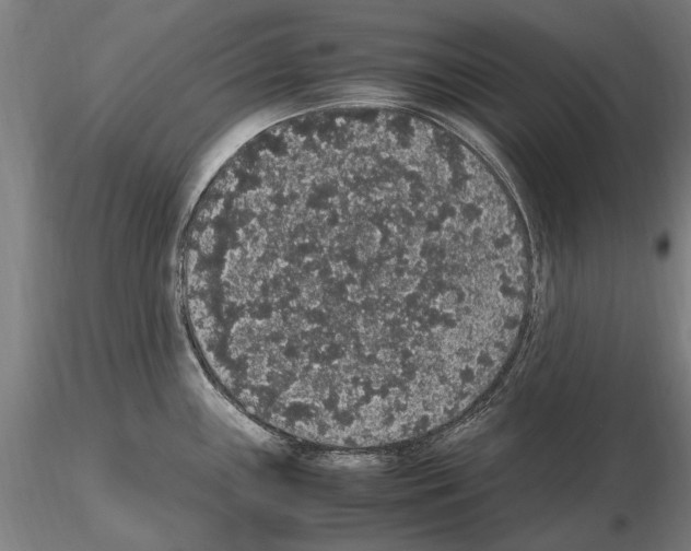 X0000114661243200912011127