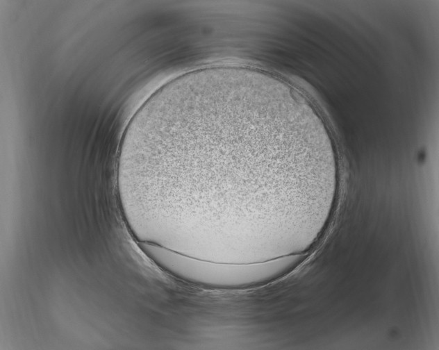 X0000114661244200912011127