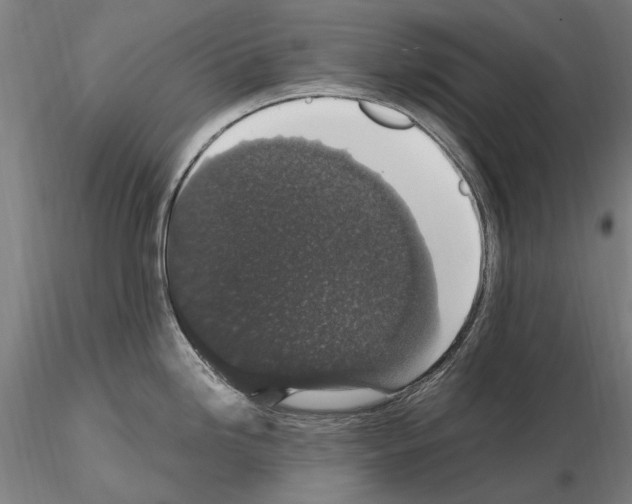 X0000114661246200912011127