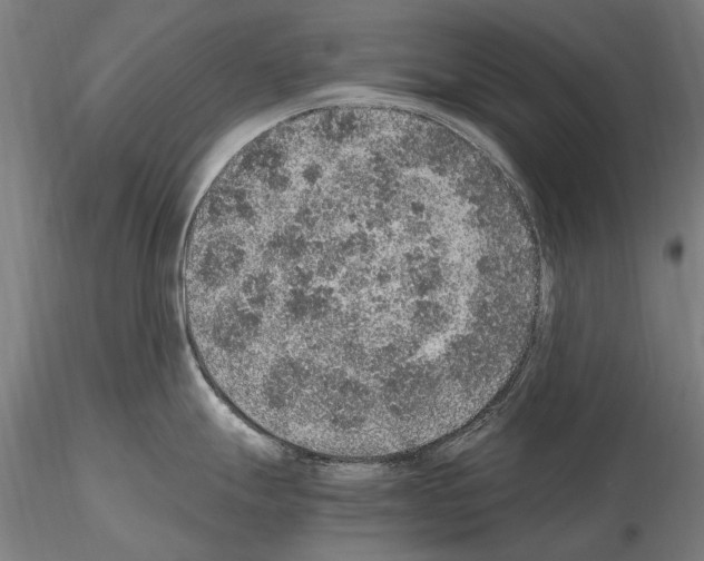 X0000114661247200912011127