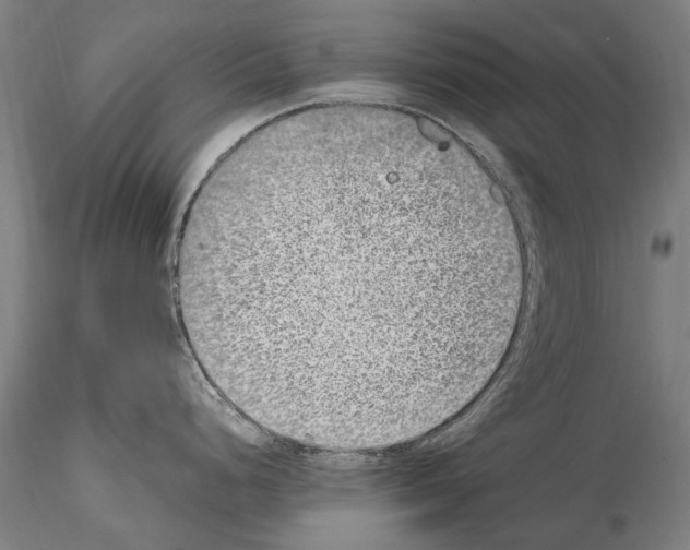 X0000114661248200912011127