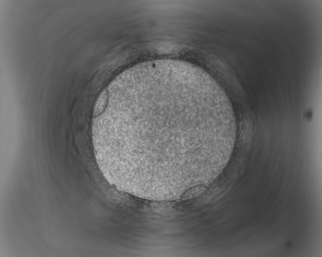 X0000114661249200912011127