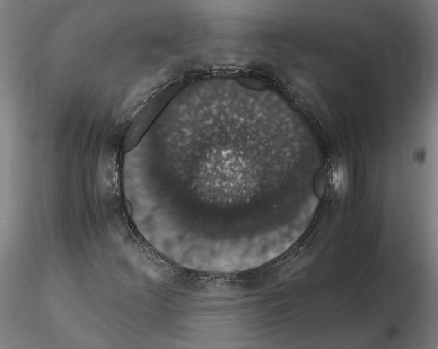 X0000114661252200912011127