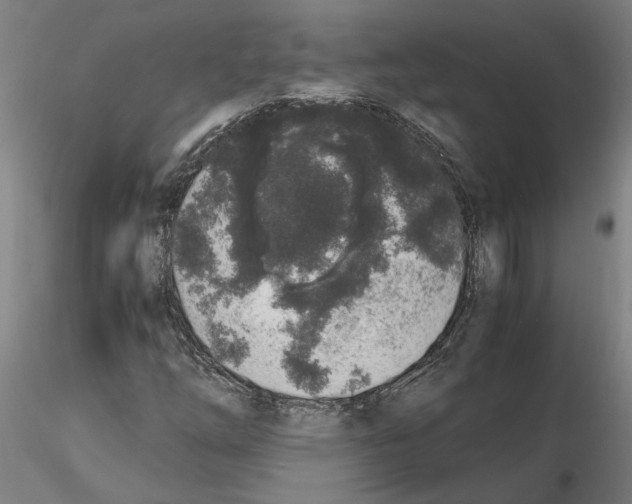 X0000114661254200912011127