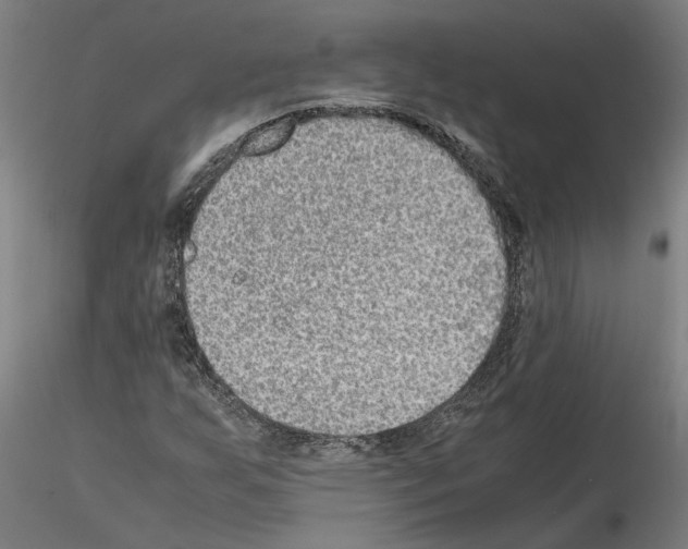 X0000114661255200912011127