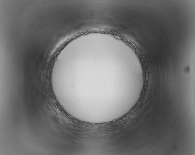 X0000114661256200912011127