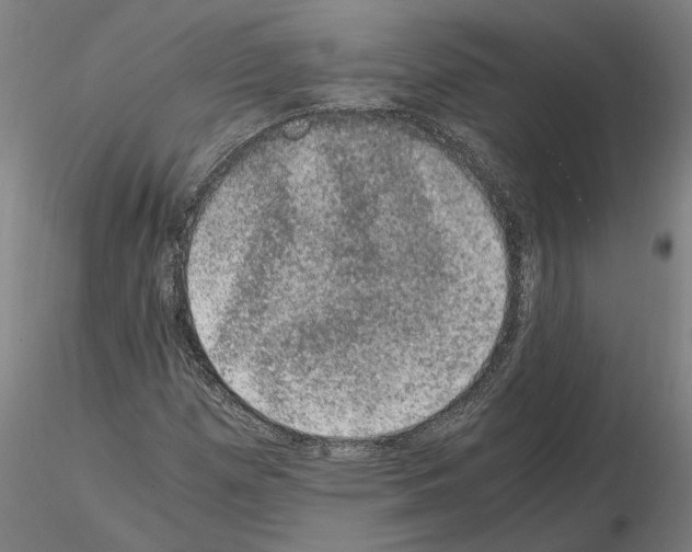 X0000114661257200912011127