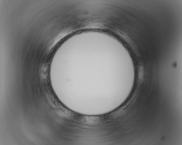 X0000114661258200912011127