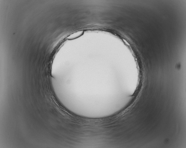 X0000114661259200912011127