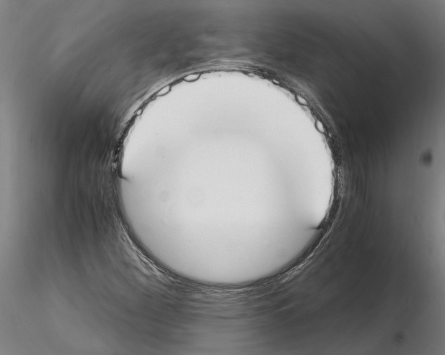 X0000114661260200912011127