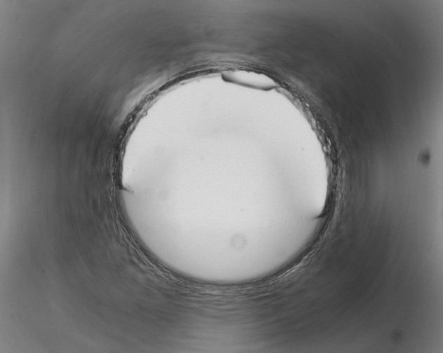 X0000114661261200912011127