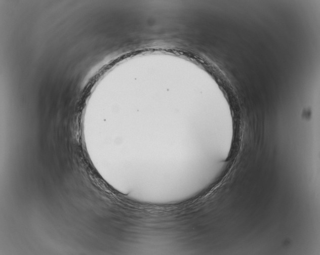 X0000114661262200912011127